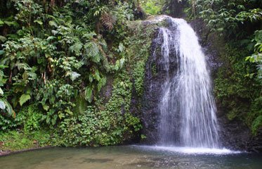 Cascade saut du Gendarme en Martinique