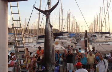 Tournoi international de pêche Sportive au Marin