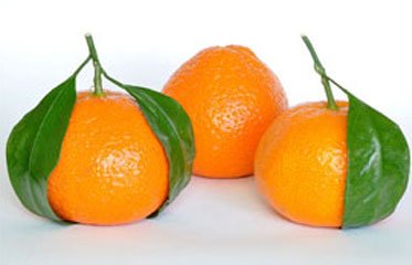 mandarine