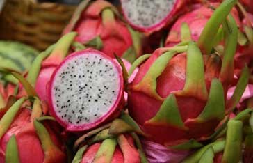 Des Pitaya en Martinique