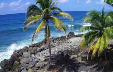 bord de mer Basse Pointe Martinique
