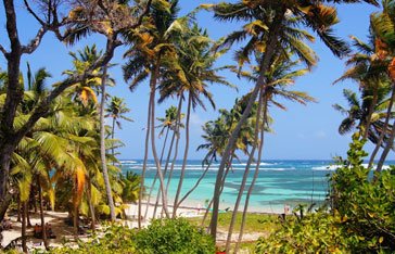 Plage Anse Michel Martinique