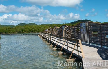 Etang des Salines en Martinique