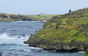 Réserve naturelle des îlets de Saint-Anne en Martinique