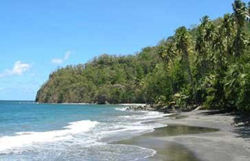 Anse couleuvre plage du prêcheur en Martinique